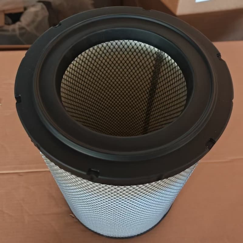 Filtro aria motore Donaldson P185485 2