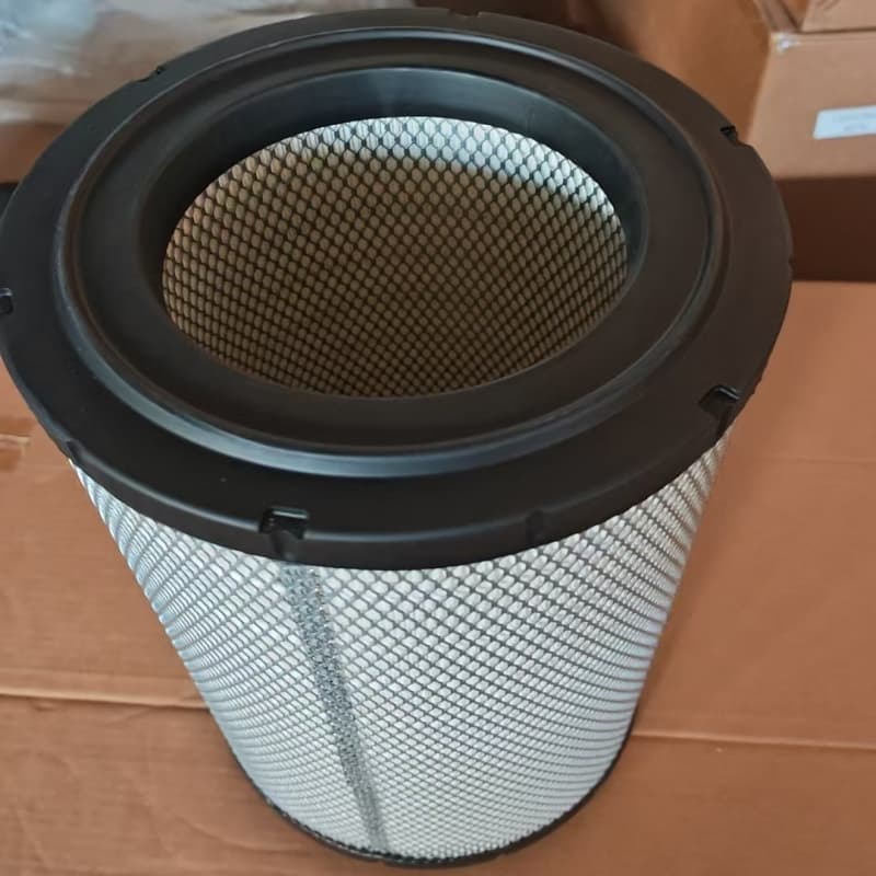 Filtro aria motore Donaldson P185485 4