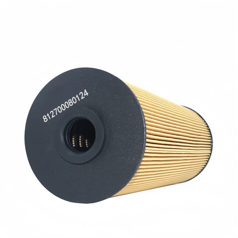 WEICHAI Eco Fuel Filter Insert 812700080124 160604020053A 5