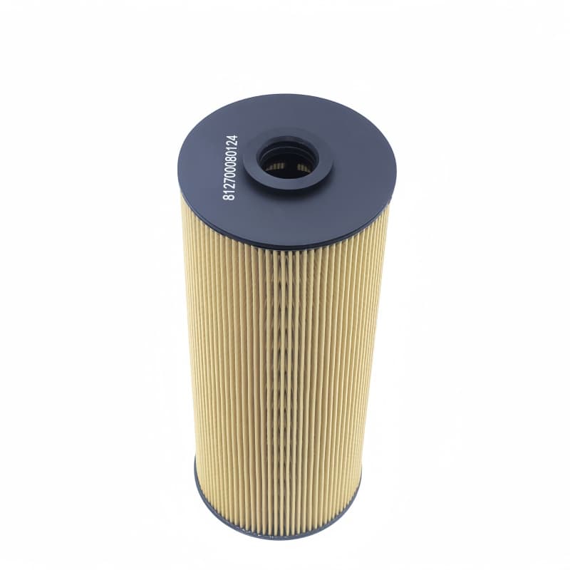 WEICHAI Eco Fuel Filter Insert 812700080124 160604020053A 6