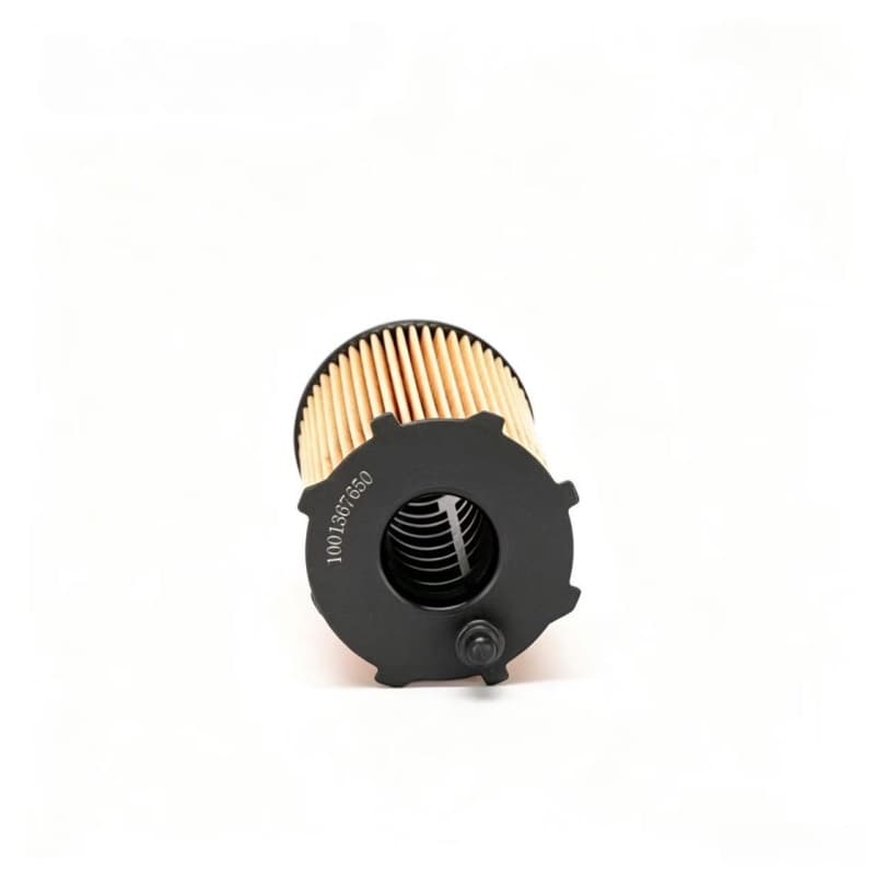 WEICHAI Eco Oil Filter Insert 1001367650 30577009 3