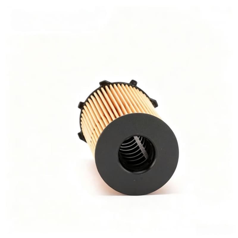 WEICHAI Eco Oil Filter Insert 1001367650 30577009 4