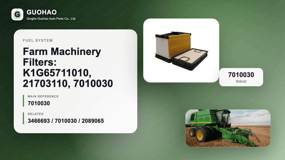 Farm Machinery Filters: K1G65711010, 21703110, 7010030